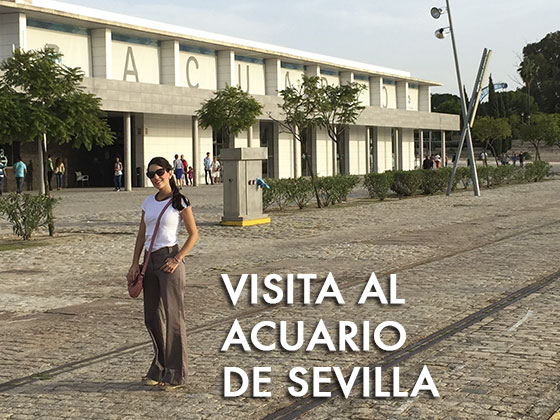 Visita al Acuario de Sevilla